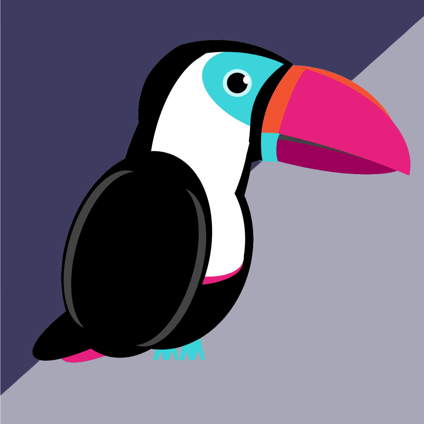 オオハシ Toucan 限定色 Limited Color 006 カメラ塾 Jimatube Nfts Adam Bygmo