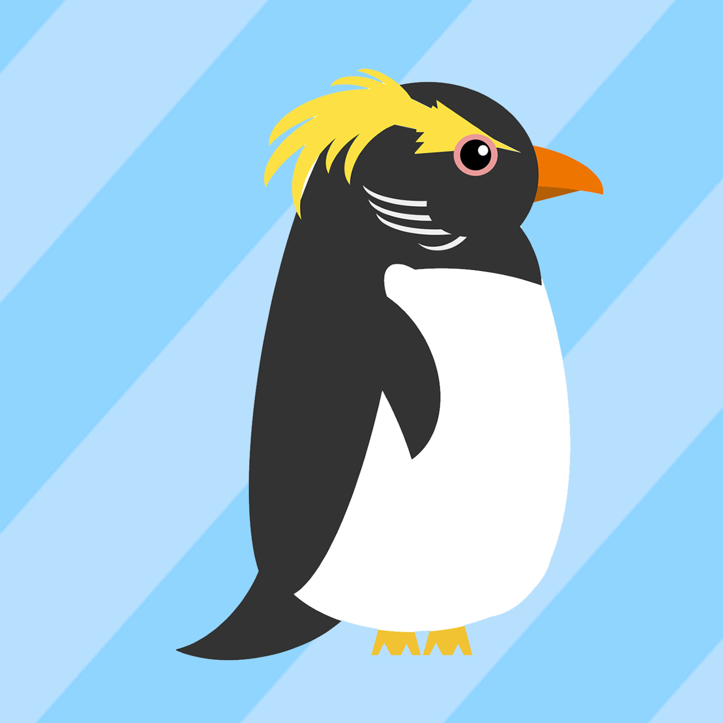 キマユペンギン （フィヨルドランドペンギン） 【Fiordland