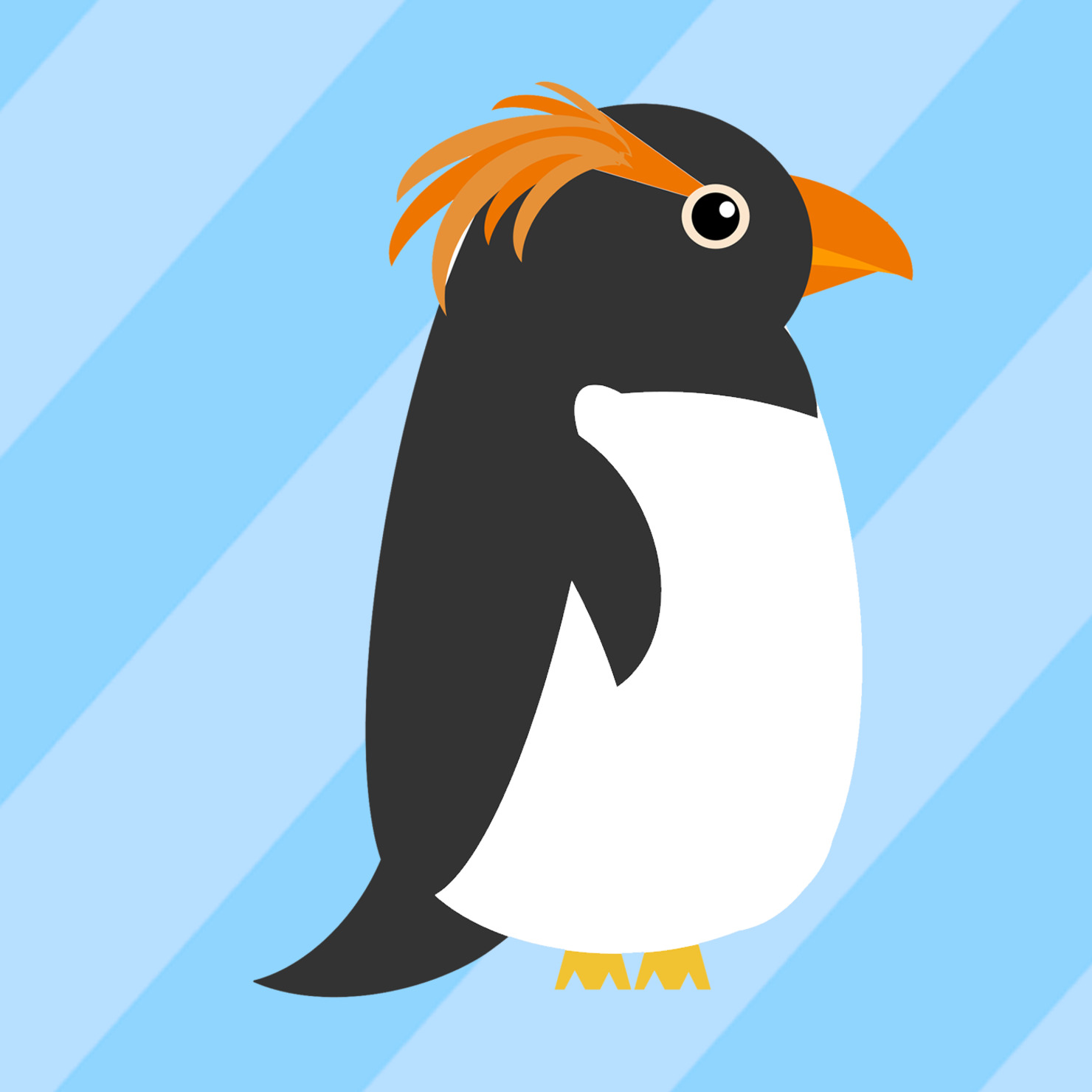 マカロニペンギン 【Macaroni Penguin】 #6/10 - カメラ塾