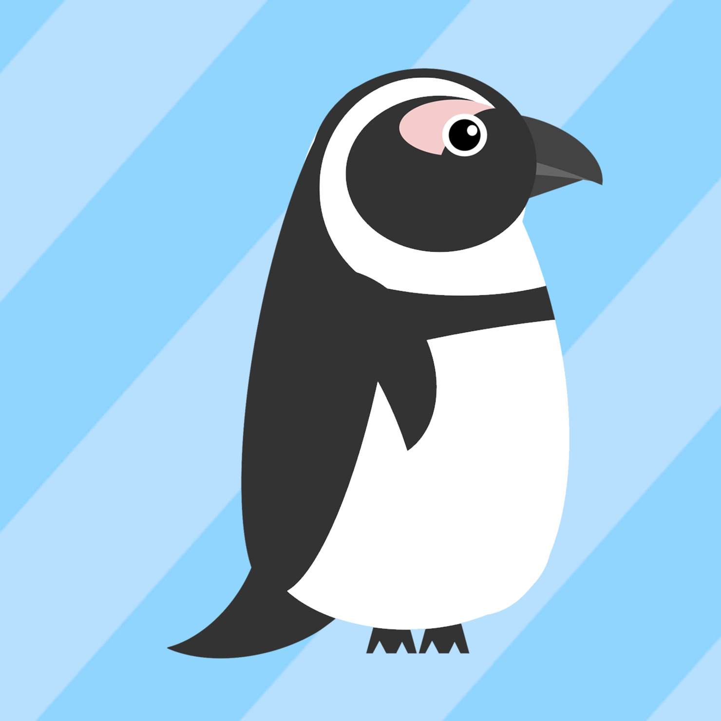 ケープペンギン 【African penguin】 #1/10 - カメラ塾【JimaTube