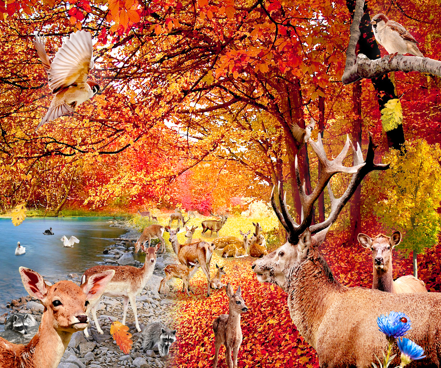 大豊穣恵みの秋 フォトバッシュアート ユウトモ フォトバッシュアーティスト のnft Adam Bygmo