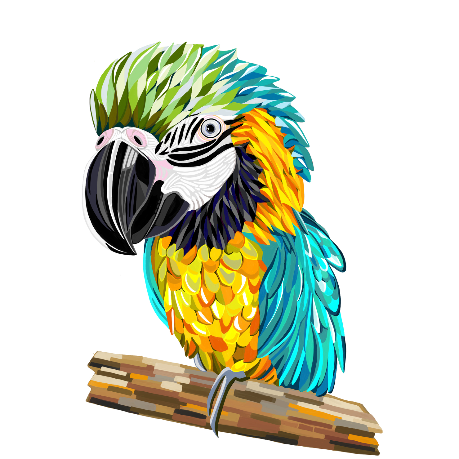 コンゴウインコ、ルリコンゴウインコ 海外土産 絵画2点 【公式通販】