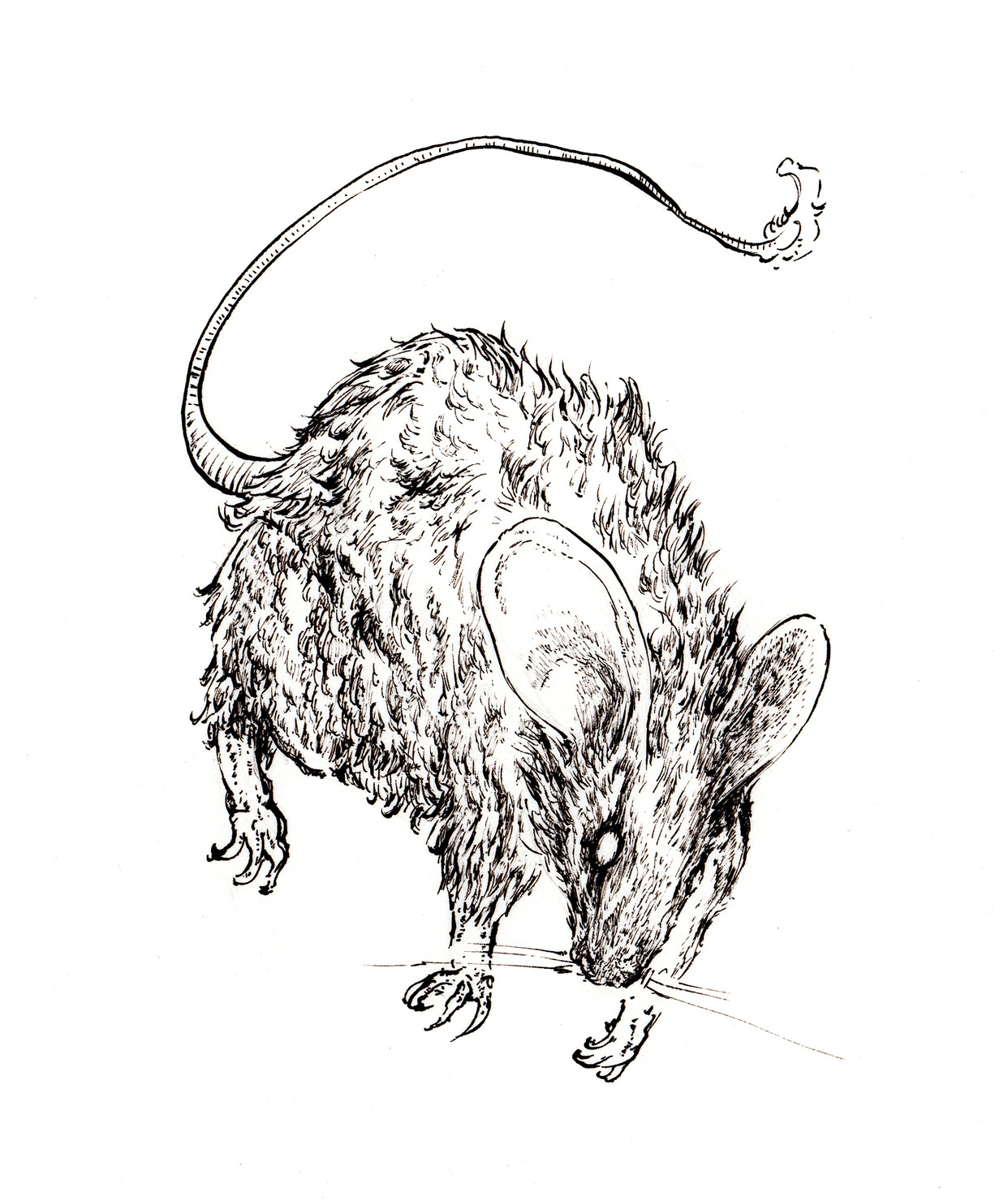 badmouse #2/100 - 竹林 一のNFT | Adam byGMO