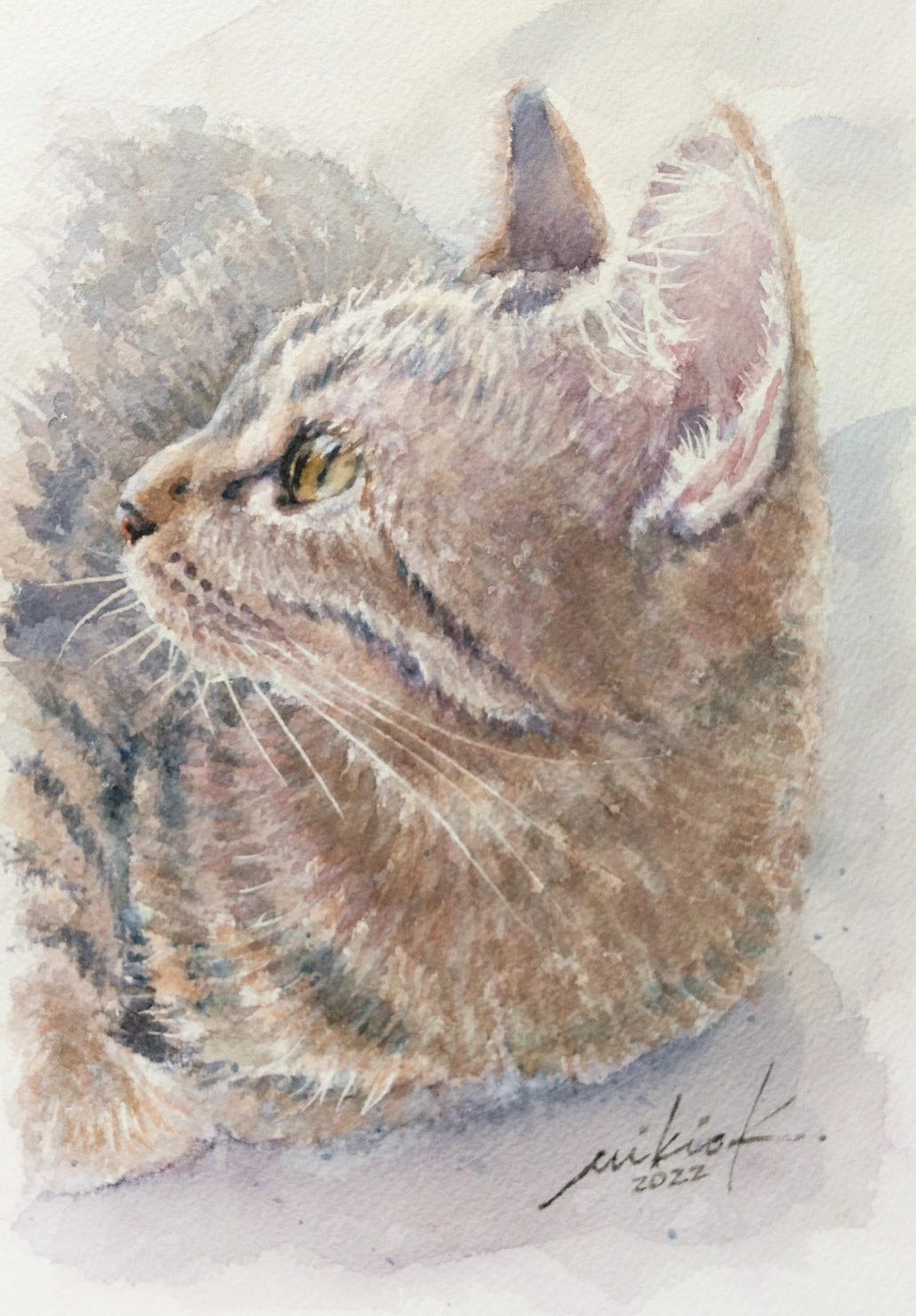 0x000000000001000004e70000001c