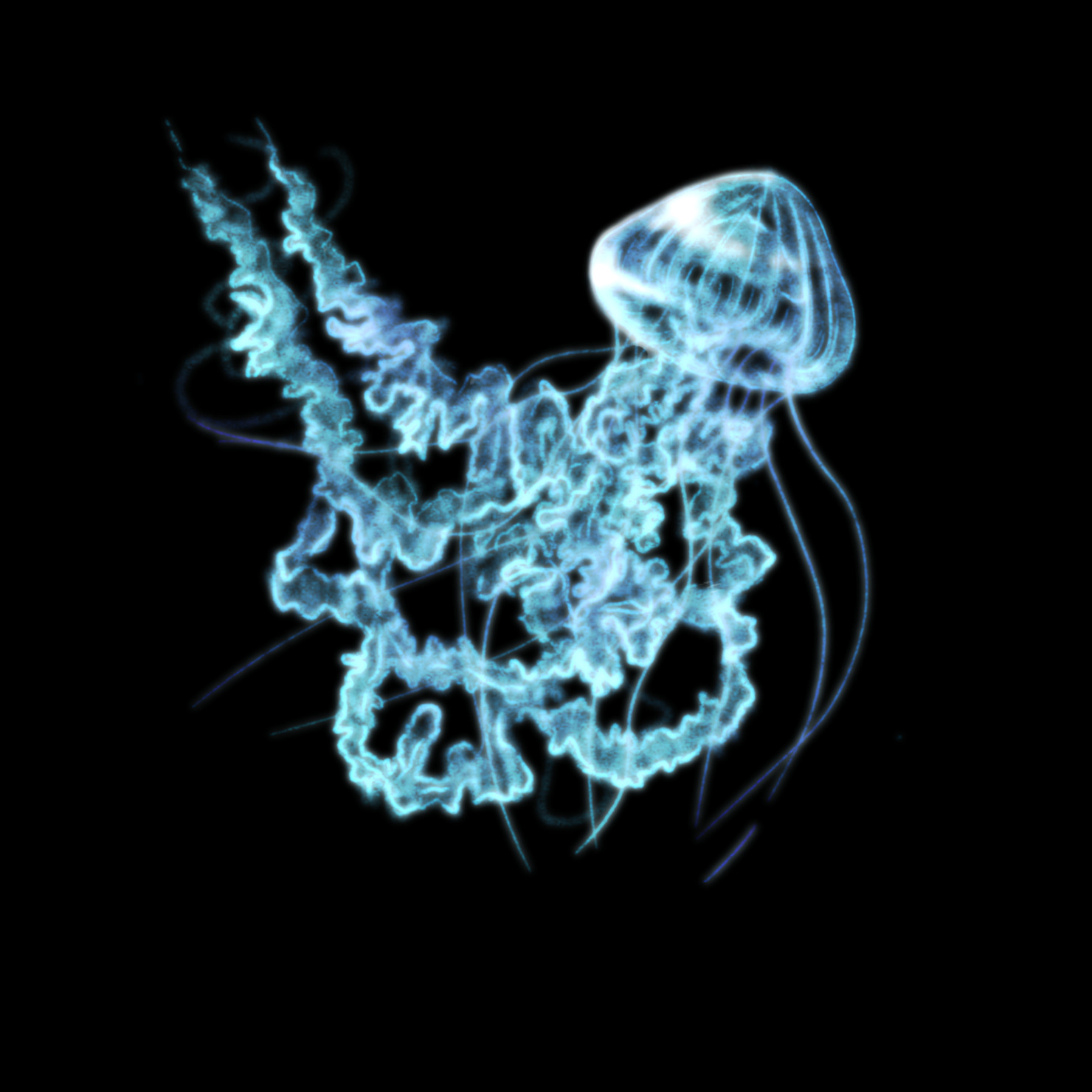 ヤナギクラゲ #1/3 - JellyfishのNFT | Adam byGMO
