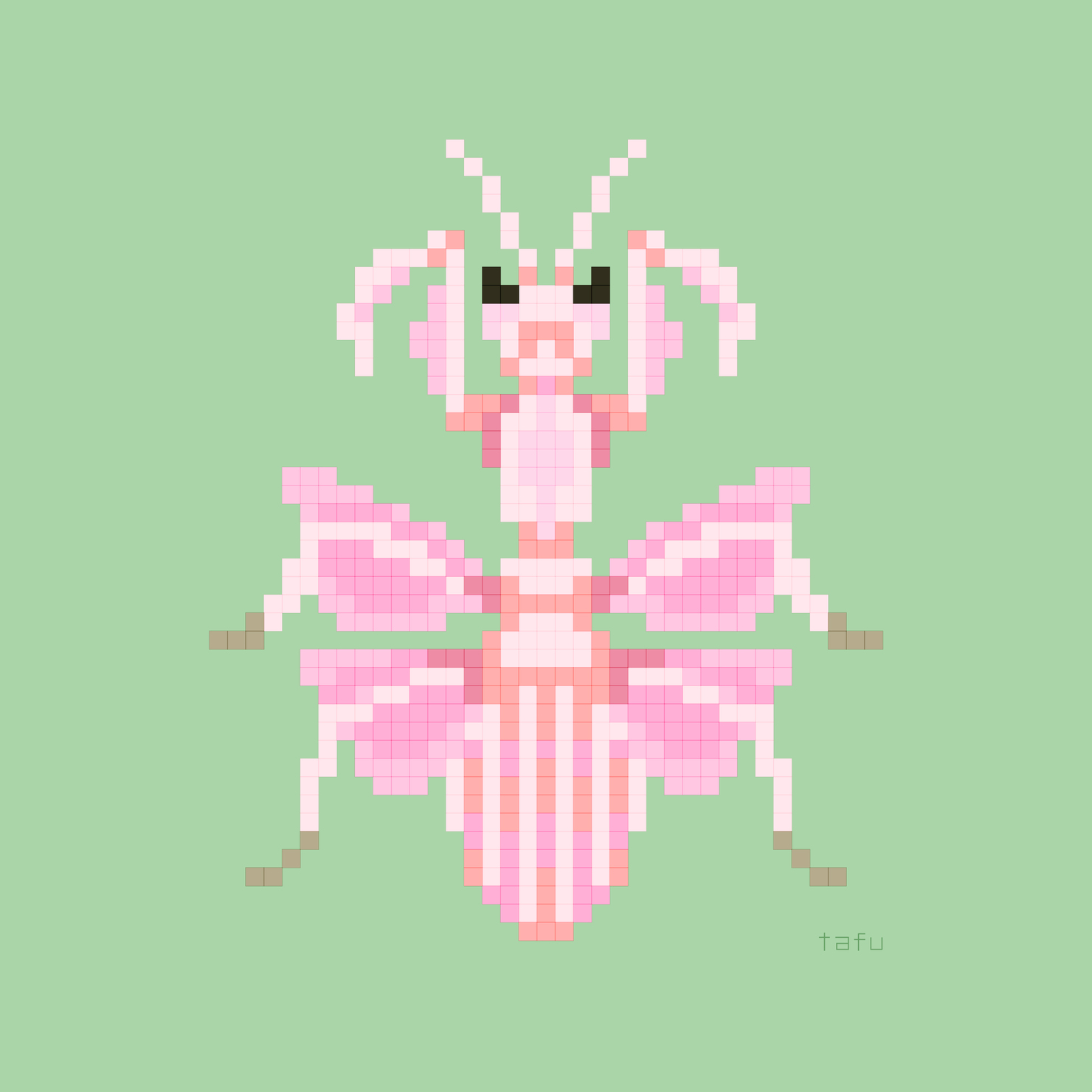 ハナカマキリ #23/23 - creativeTAFUのNFT | Adam byGMO