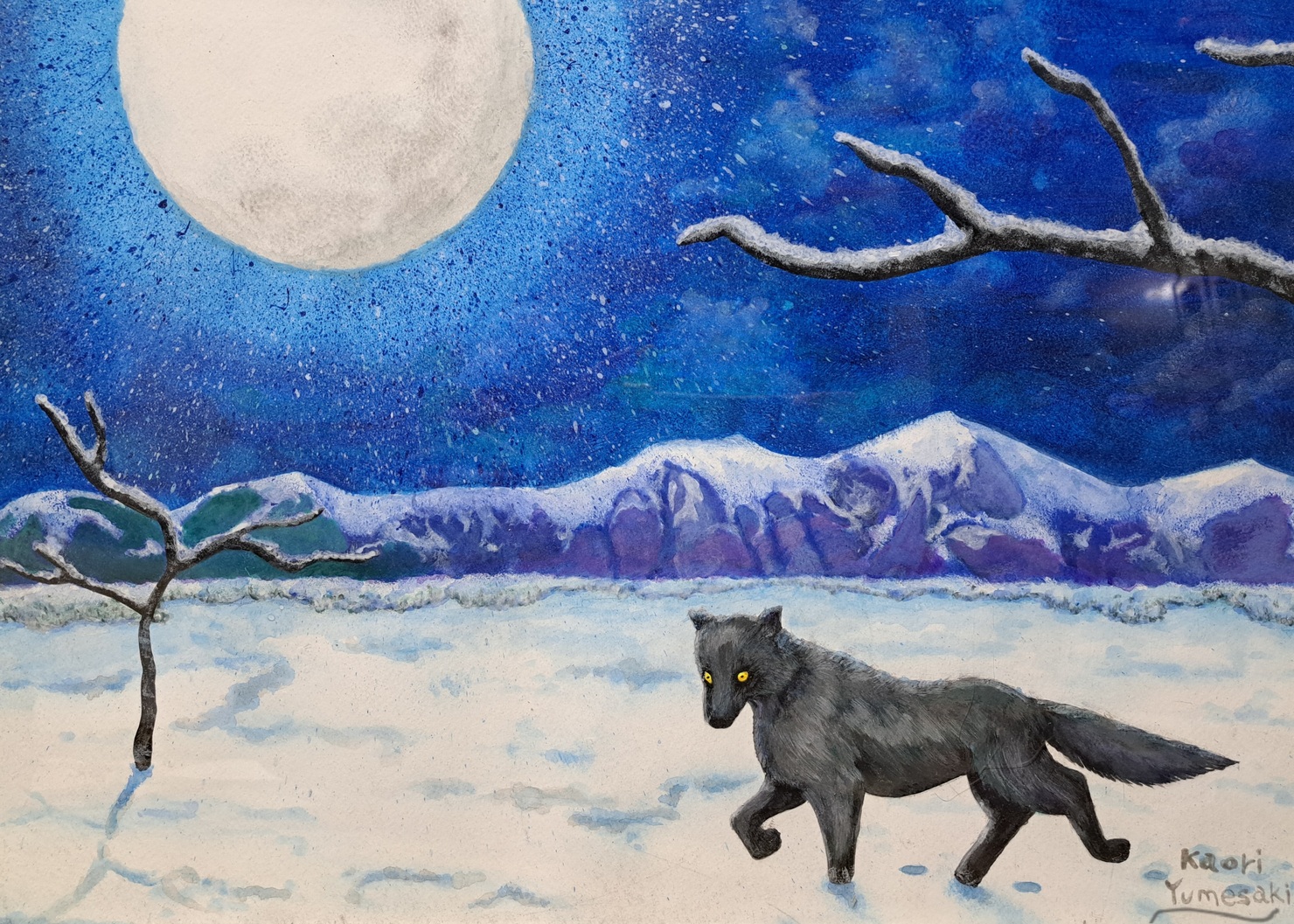 雪原の狼～Wolf in the snow field - Kaori Yumesaki's pictures のNFT