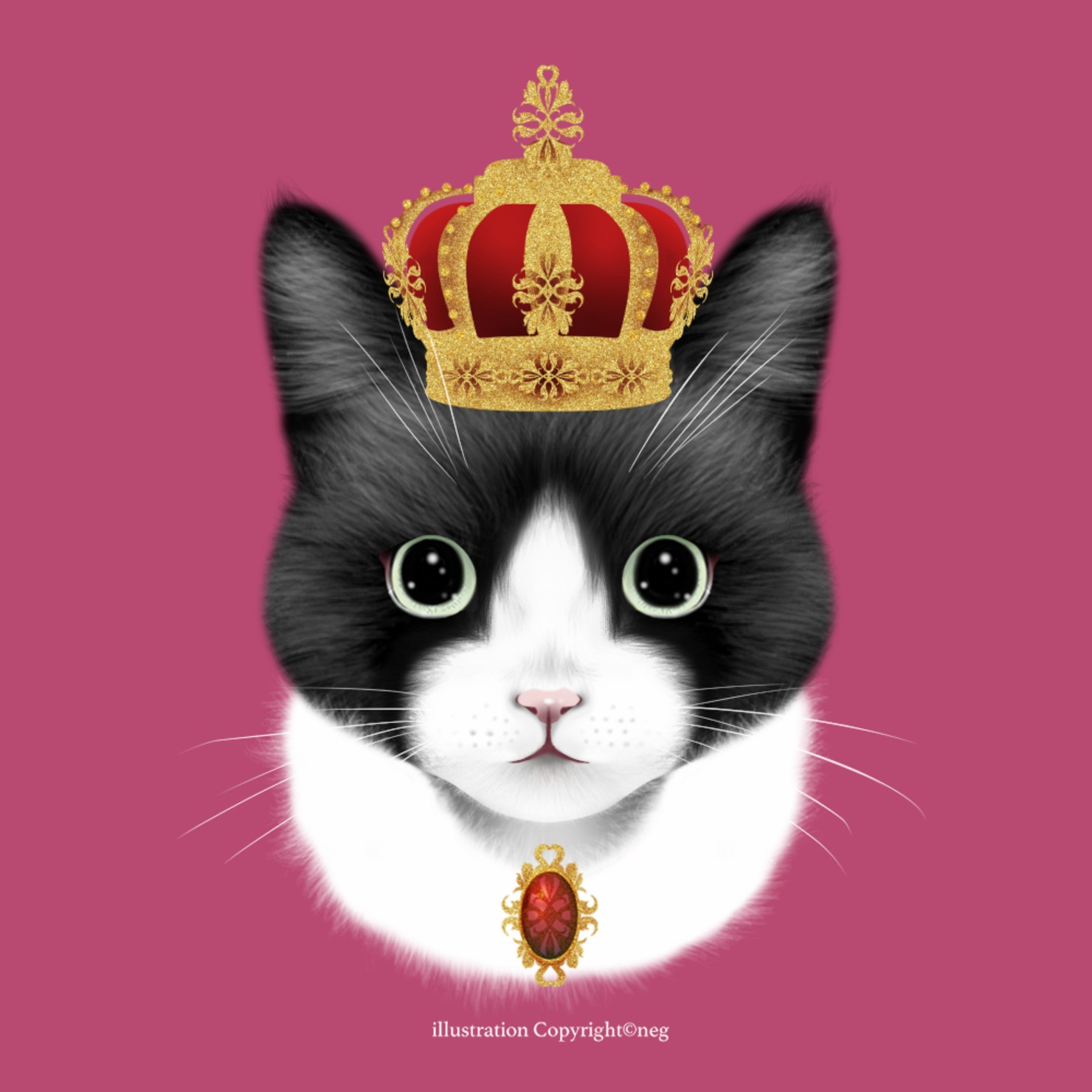 Crown cat-Tuxedo-Magenta