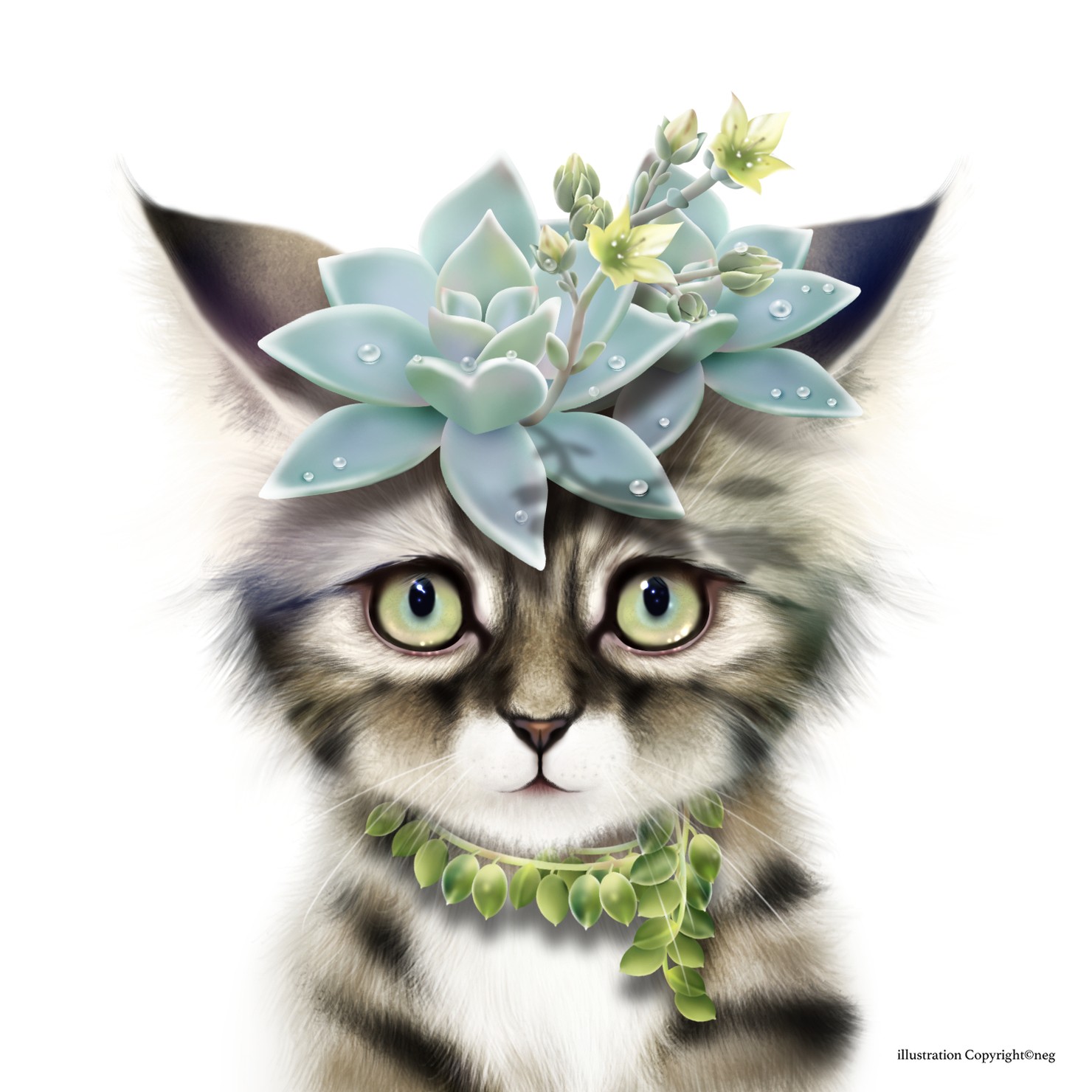 多肉猫 Succulent cat-white