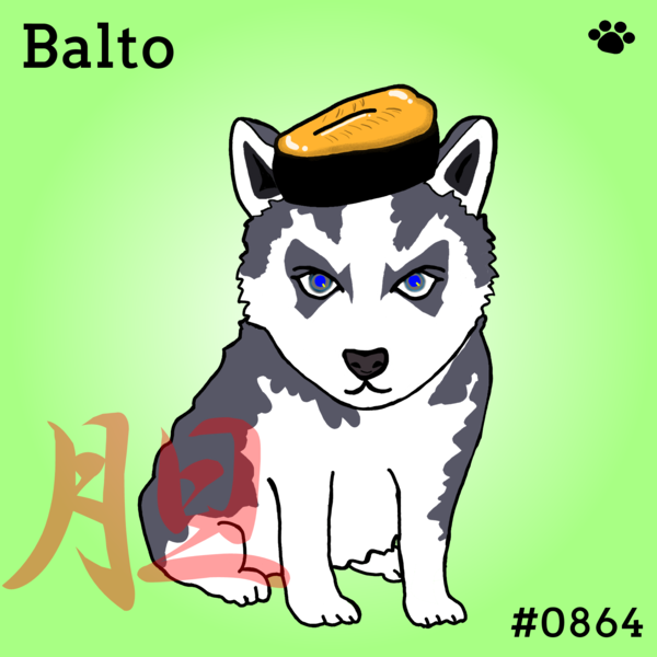 Sushi Dog #0864 Balto'胆' #1/10