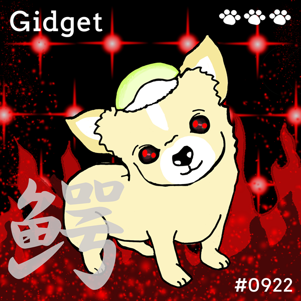 Sushi Dog #0922 【Angry Shiny】Gidget'鰐'