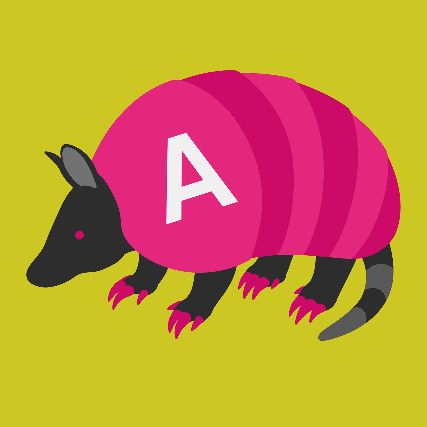 Armadillo_A