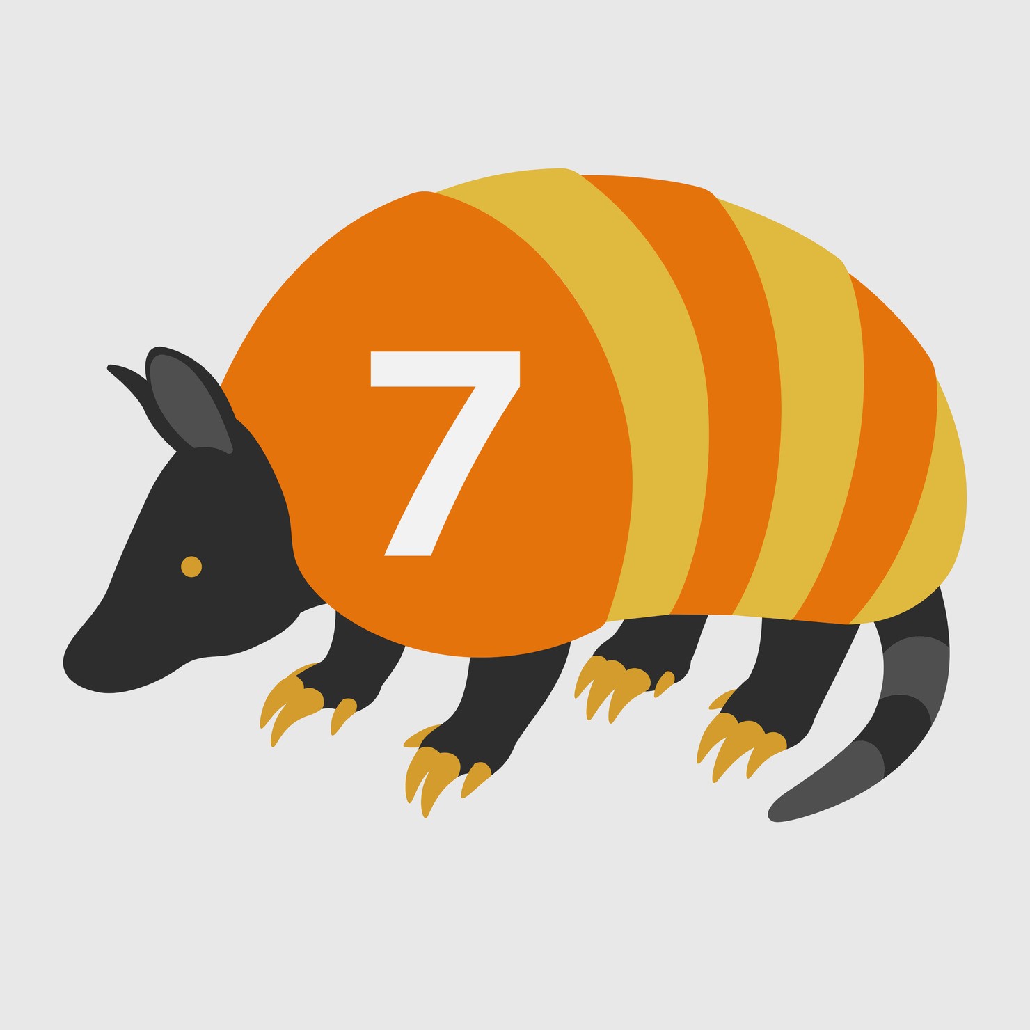 Armadillo_7