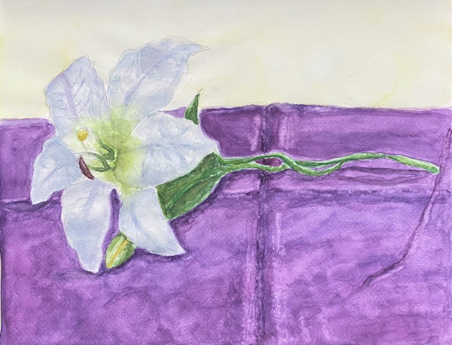 12才の描いた百合の花 A lily flower drawn by a 12-year-old girl