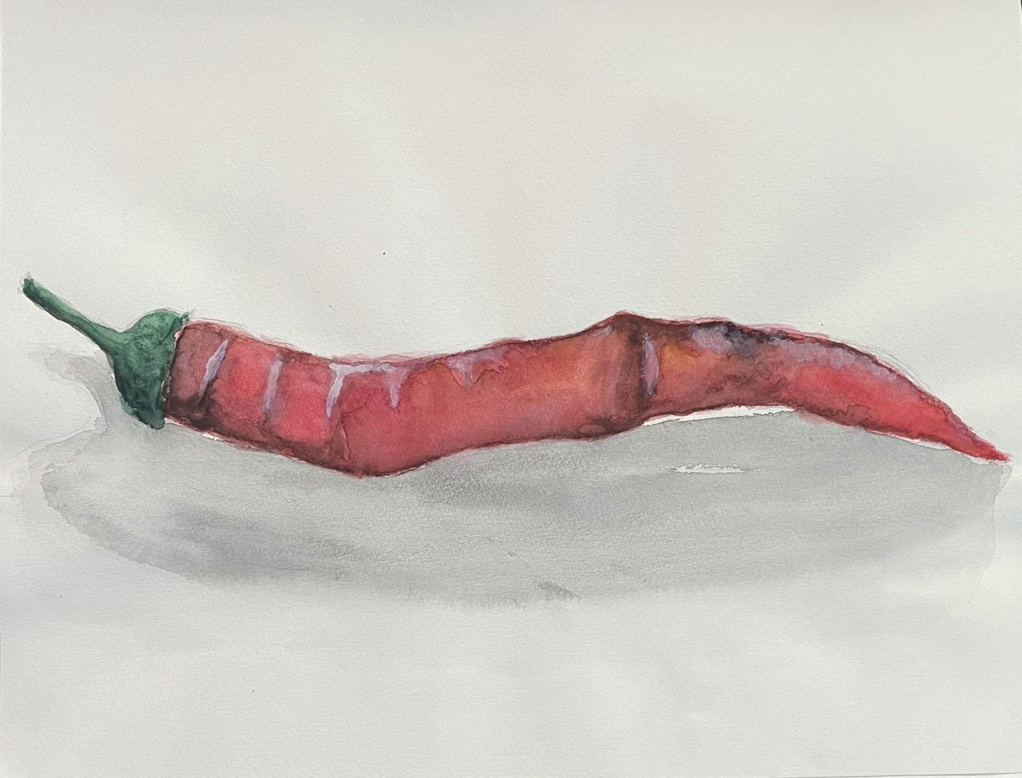 12才の描いたとうがらし Chili drawn by a 12-year-old girl