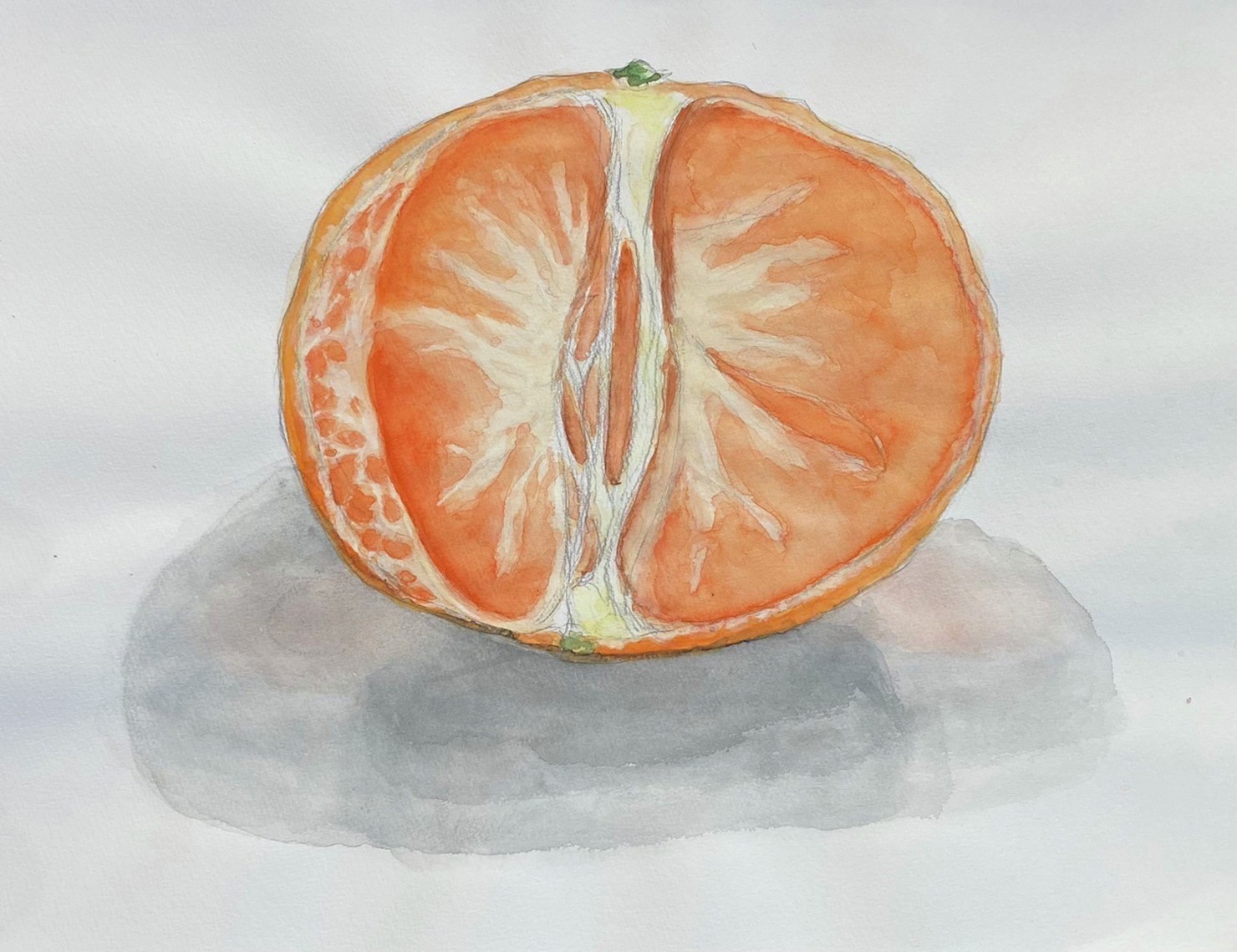 12才の描いたみかん Mandarin oranges drawn by a 12-year-old girl