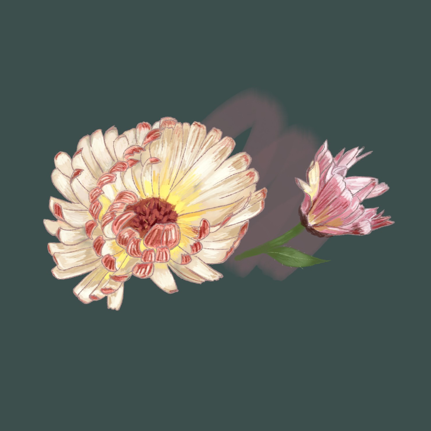 flower03