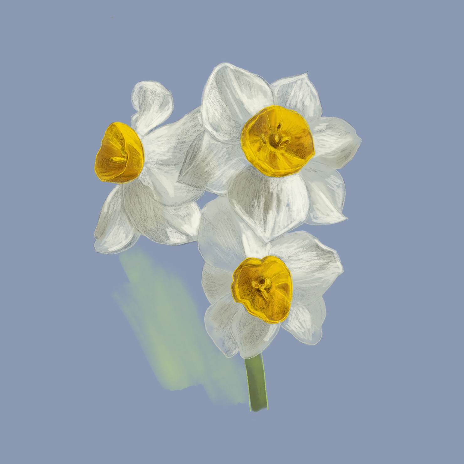 flower04