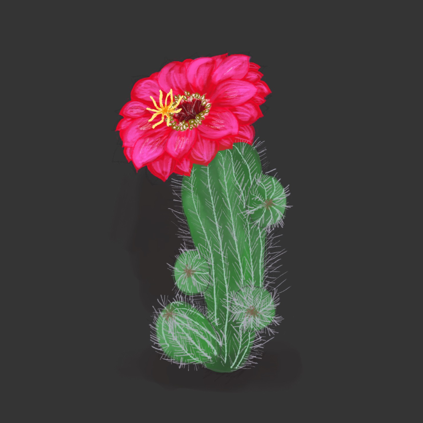 flower05