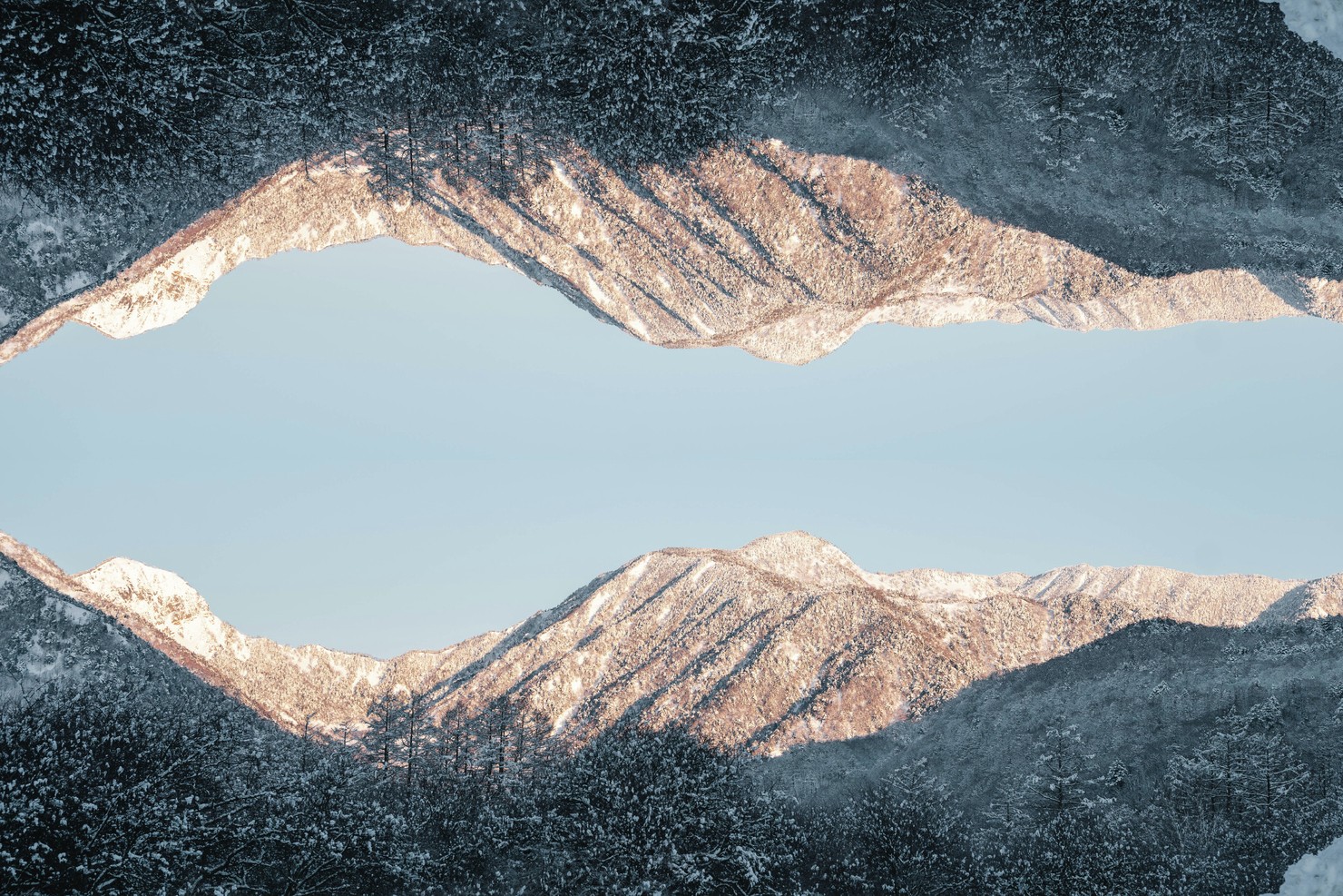 Creation of nature #1