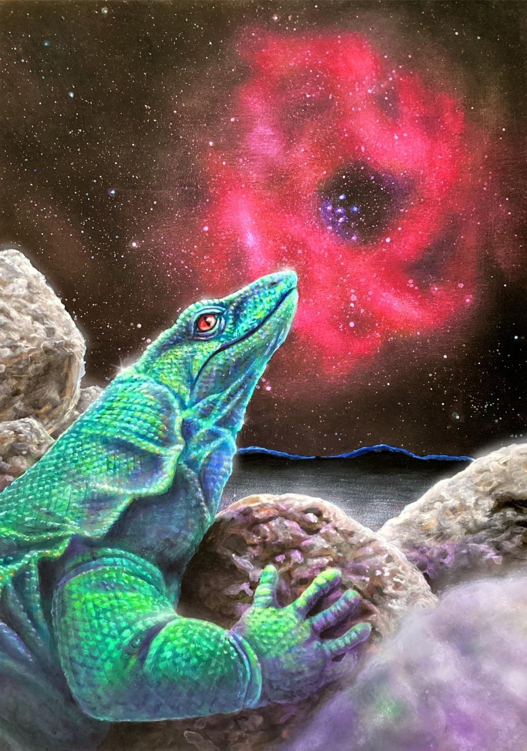 トカゲとバラ星雲