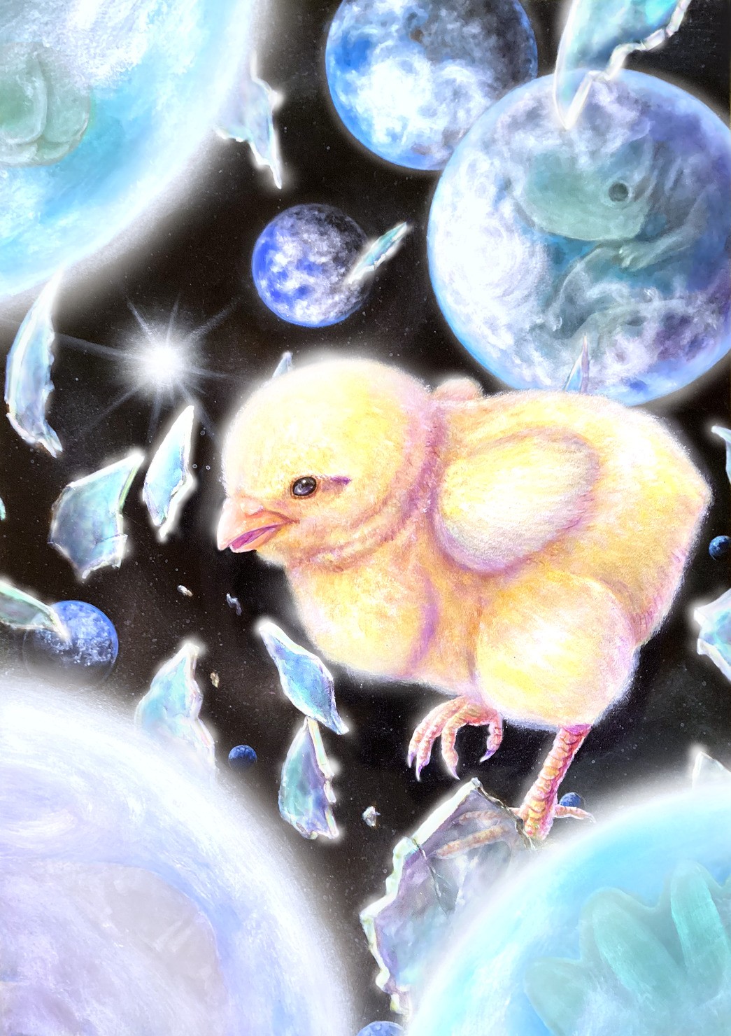 ひよこ誕生