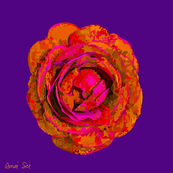 ROSE#007