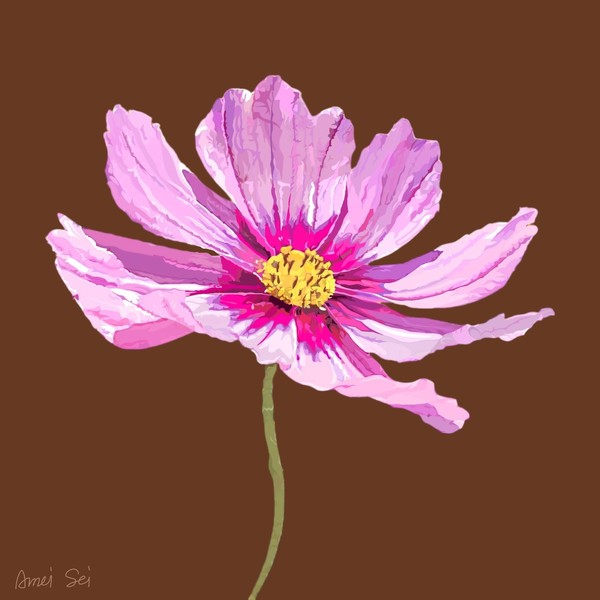 COSMOS#001