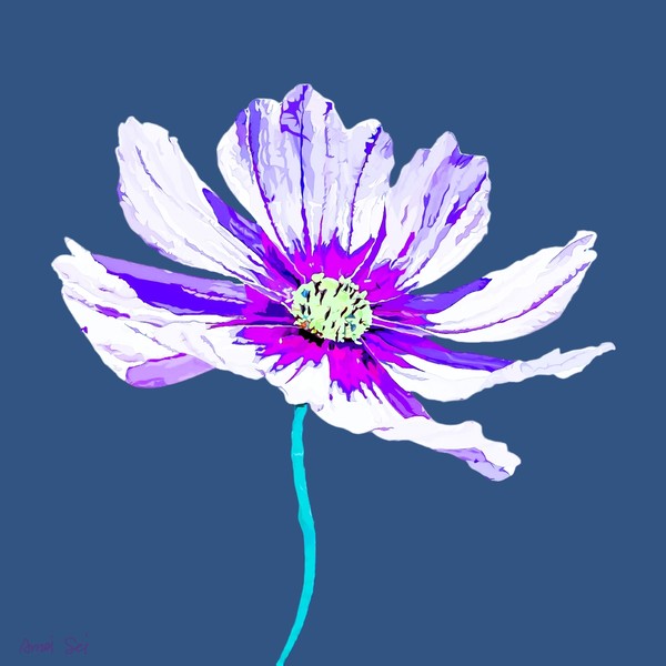 COSMOS#002