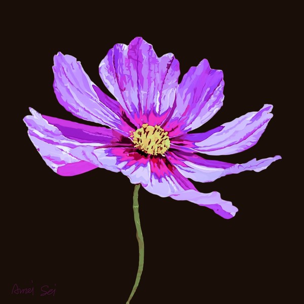COSMOS#003
