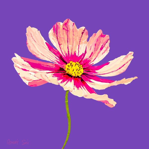 COSMOS#004
