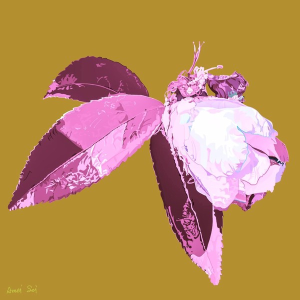 CAMELLIA#001
