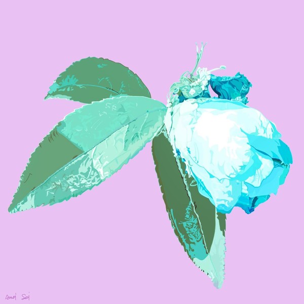CAMELLIA#002