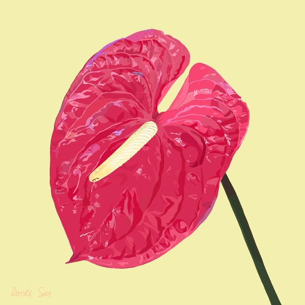 ANTHURIUM#001
