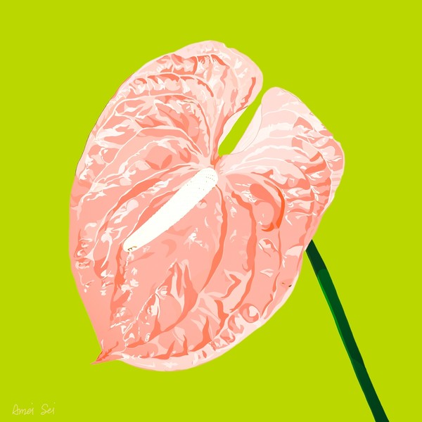 ANTHURIUM#003