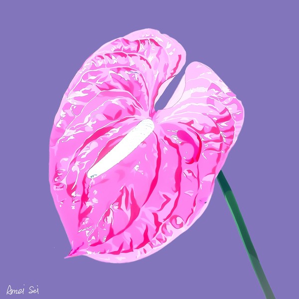 ANTHURIUM#004