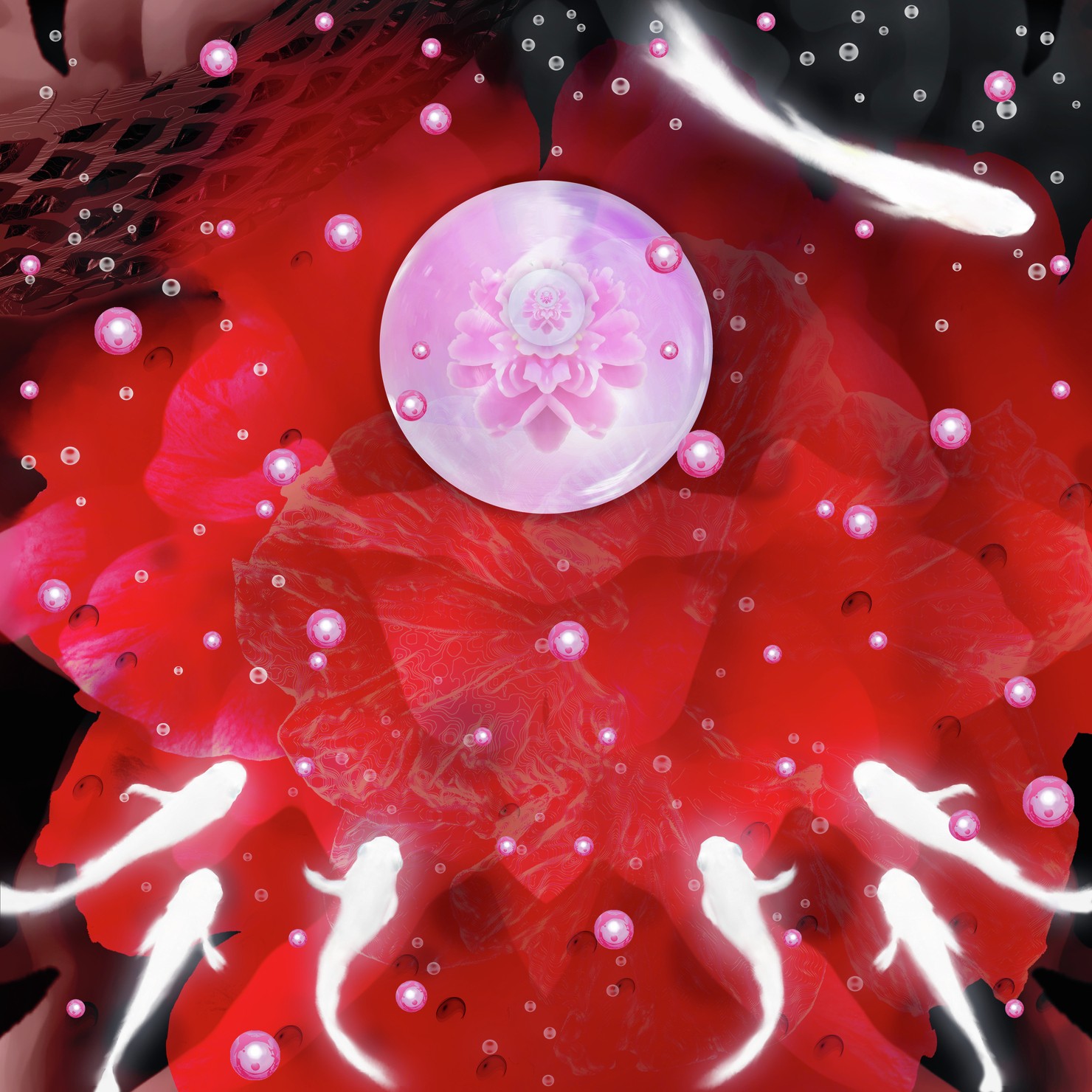 symbiotic relationship 1