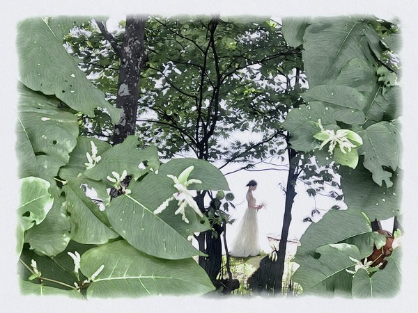 【トーヤの森】  008_幸せに包まれて 〜Wedding〜（北海道洞爺湖町）