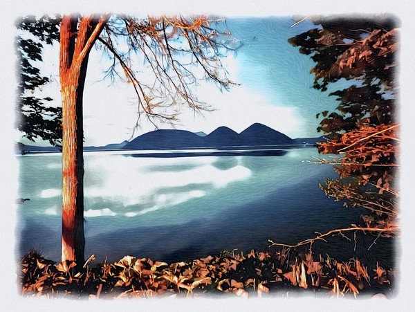 【トーヤの森】  009_秋の斜光（北海道洞爺湖町）