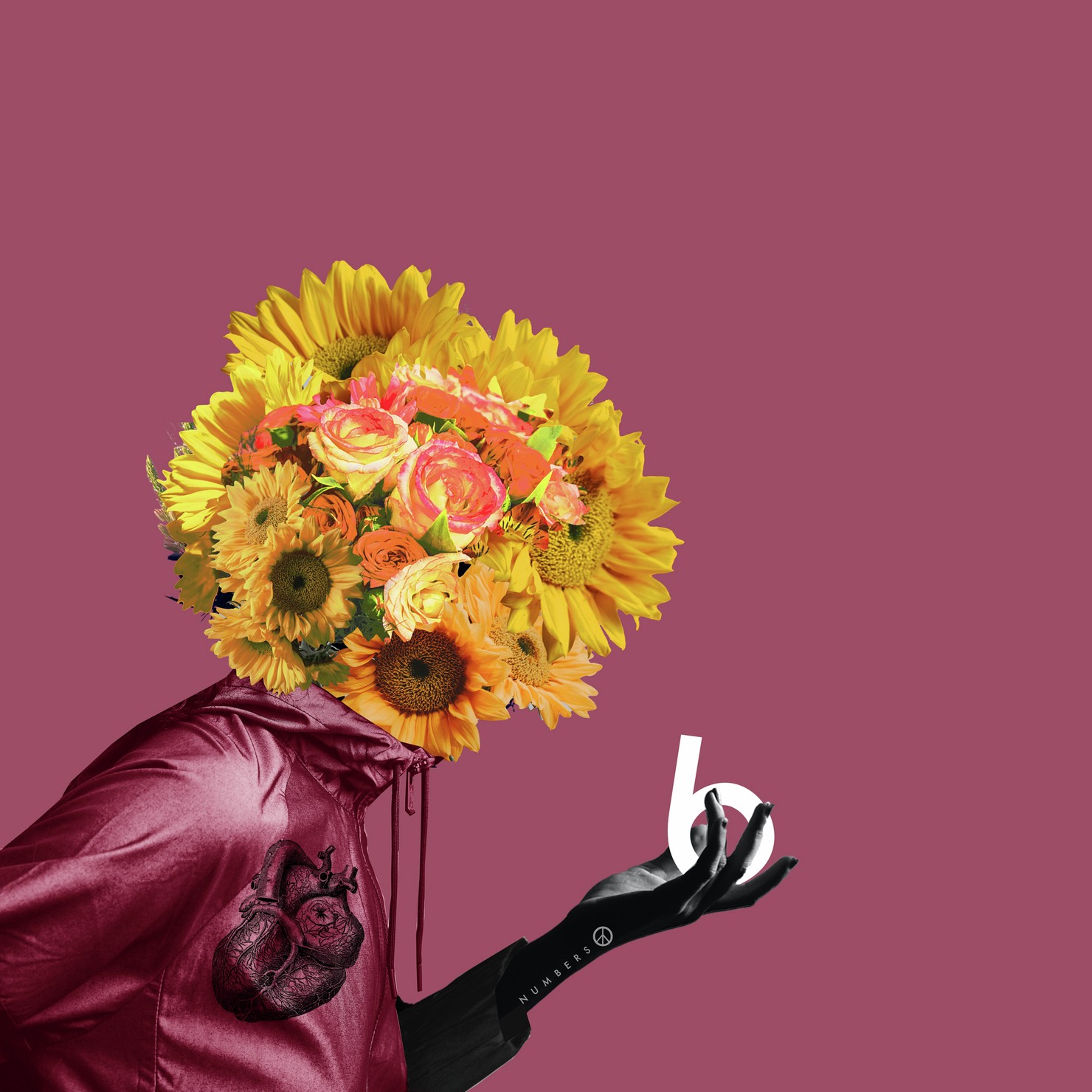 Crypto Flower Head / Number 6