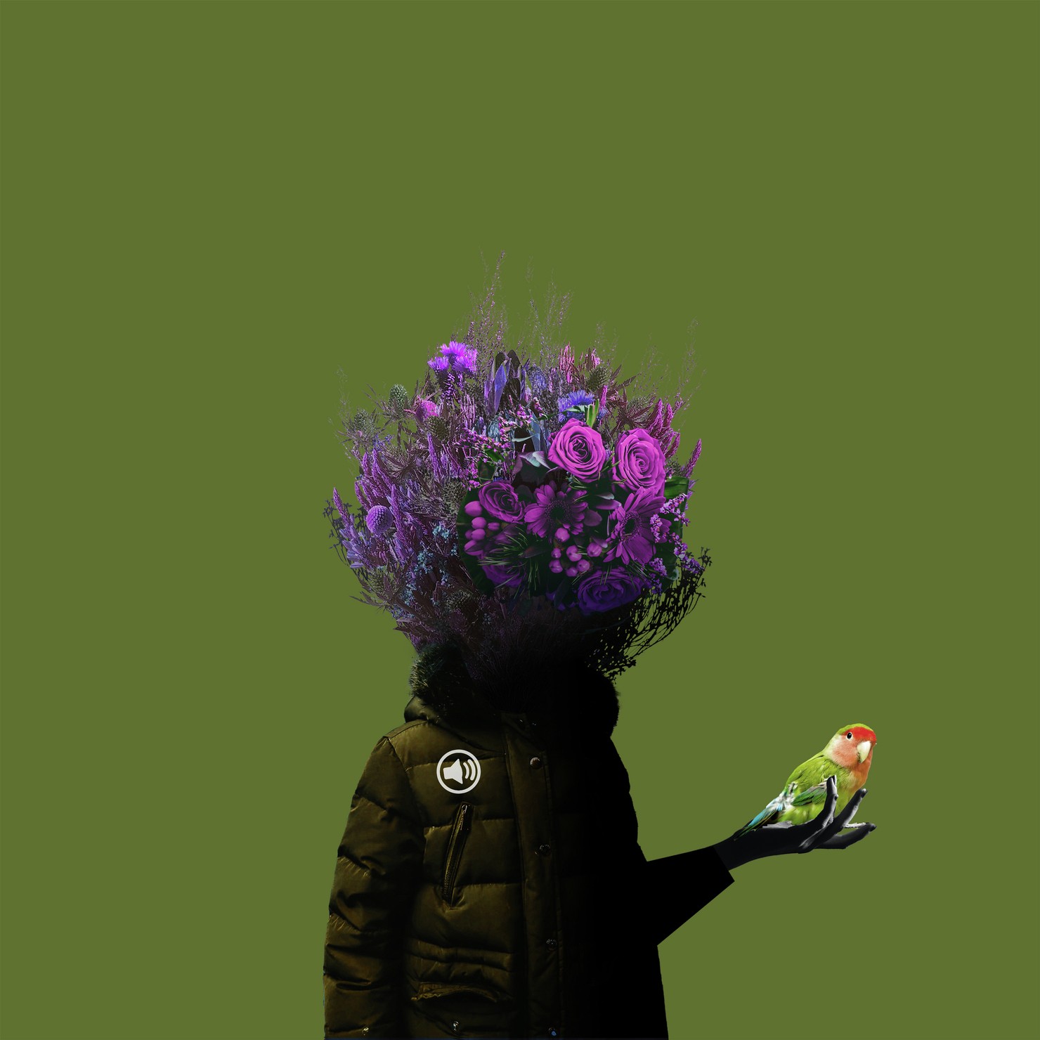 Crypto Flower Head / Parakeet