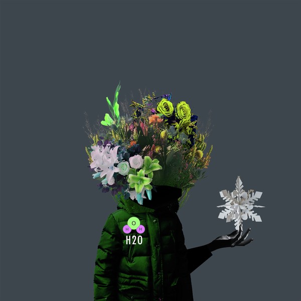 Crypto Flower Head / SNOW FLAKE