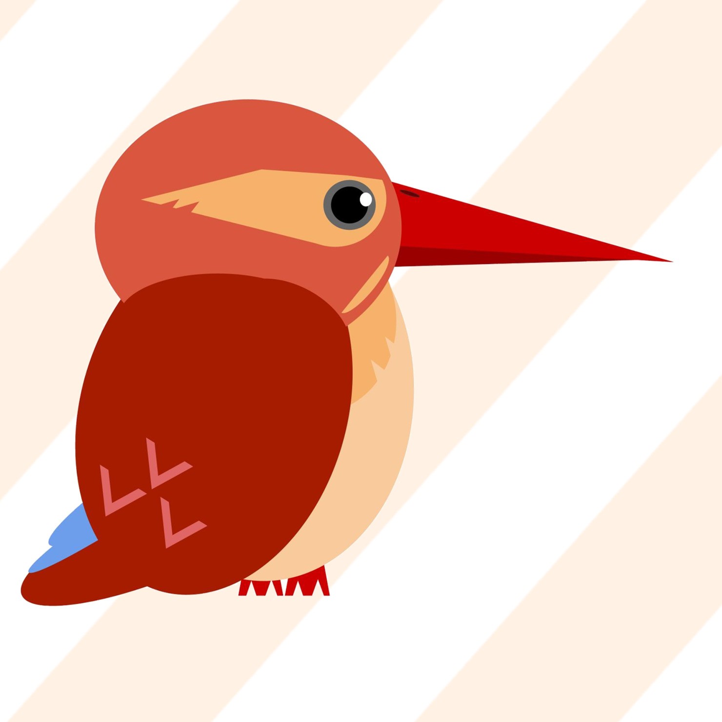 アカショウビン Ruddy Kingfisher 2 10 カメラ塾 Jimatube のnft Adam Bygmo