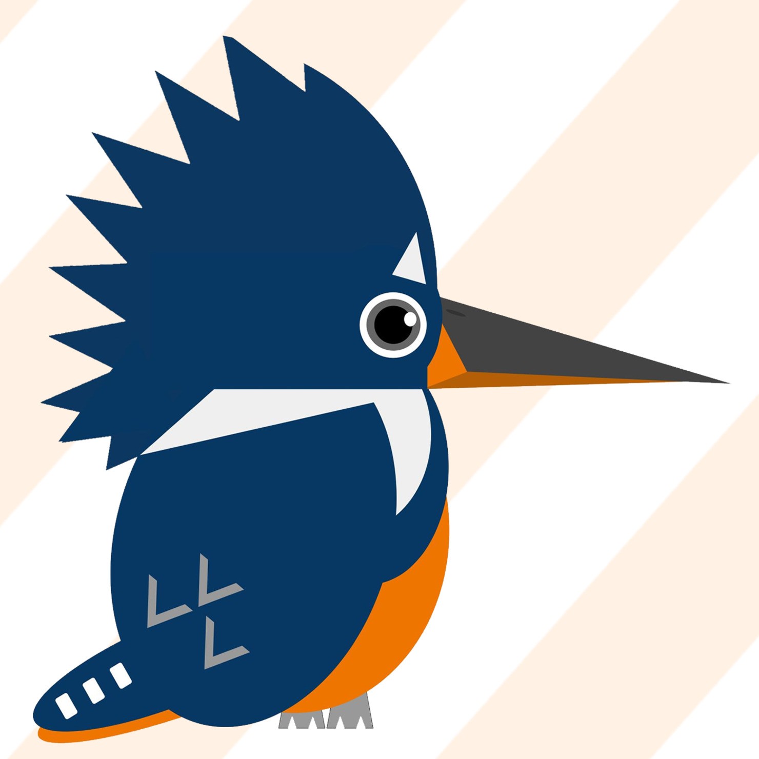 クビワカワセミ 【Ringed Kingfisher】 #2/10