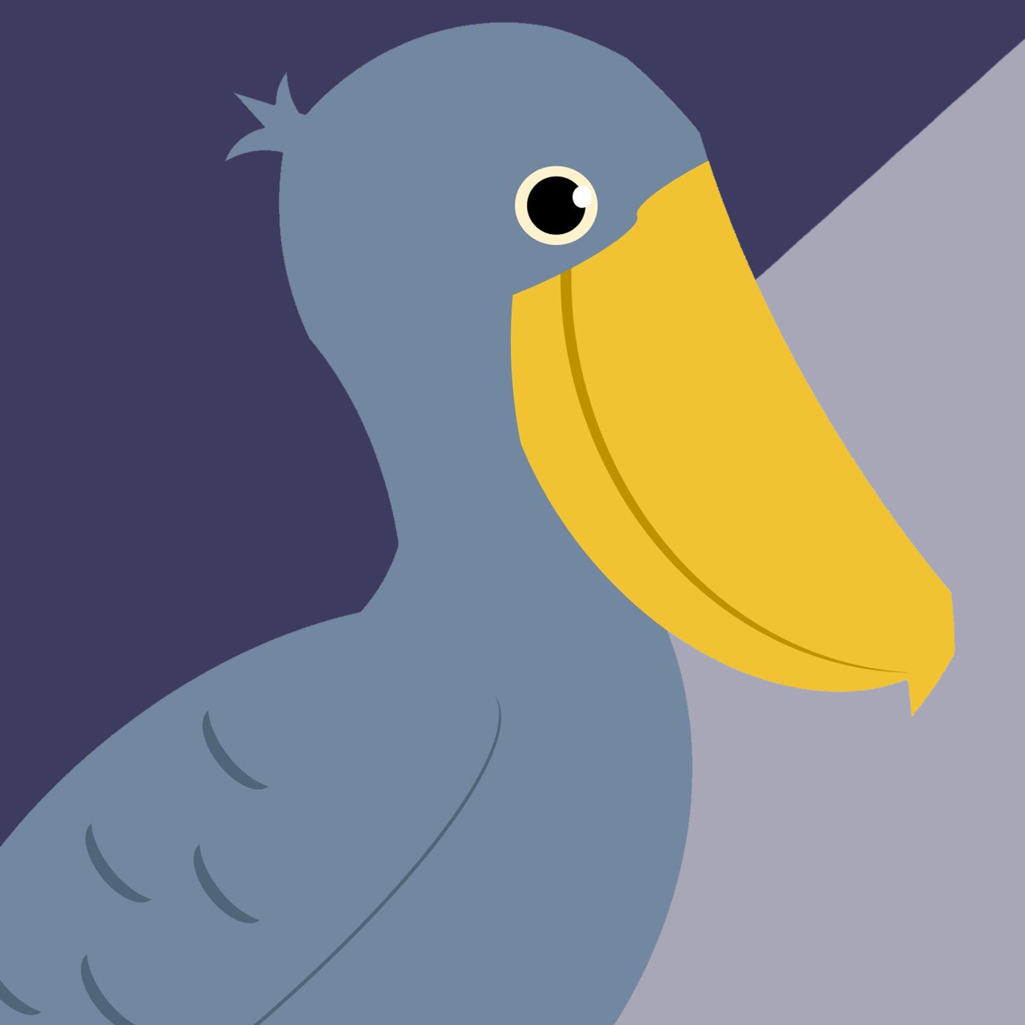 ハシビロコウ 【Shoebill】 #82/100