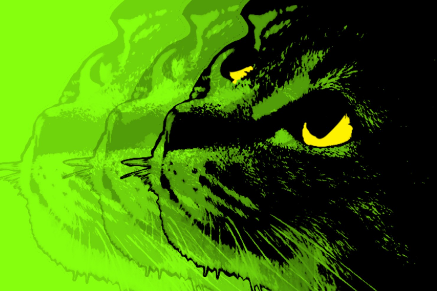 CAT’S EYE