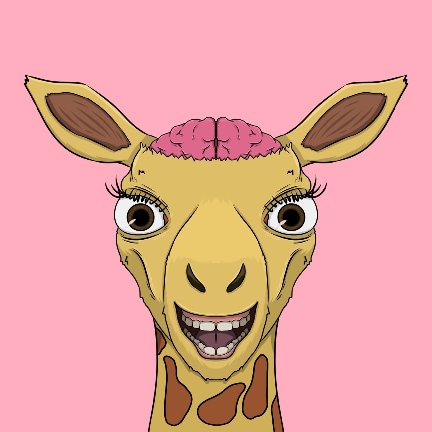 MUKIDASHI | 『Giraffe』