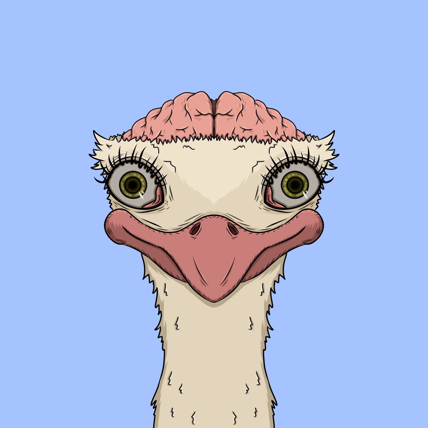 MUKIDASHI | 『Ostrich』