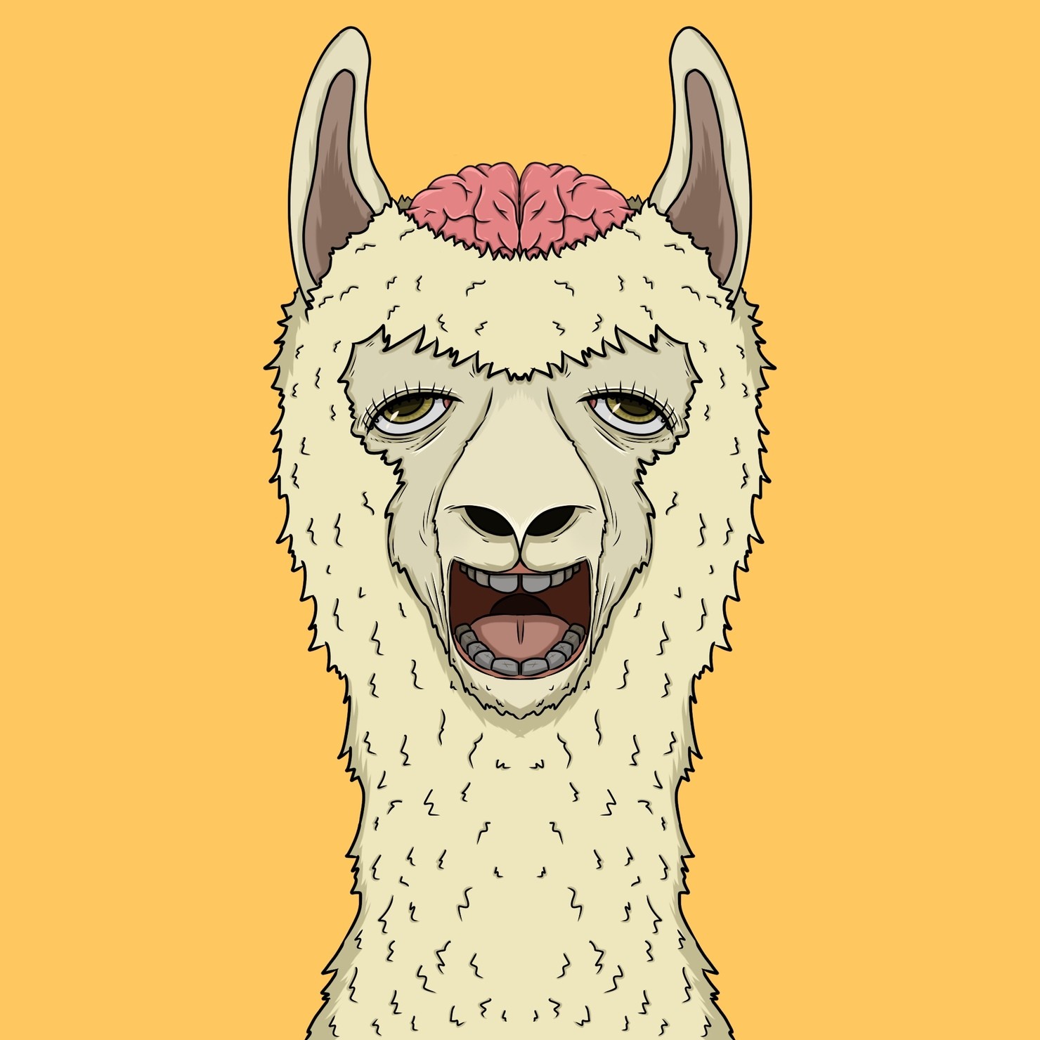 MUKIDASHI | 『Alpaca』