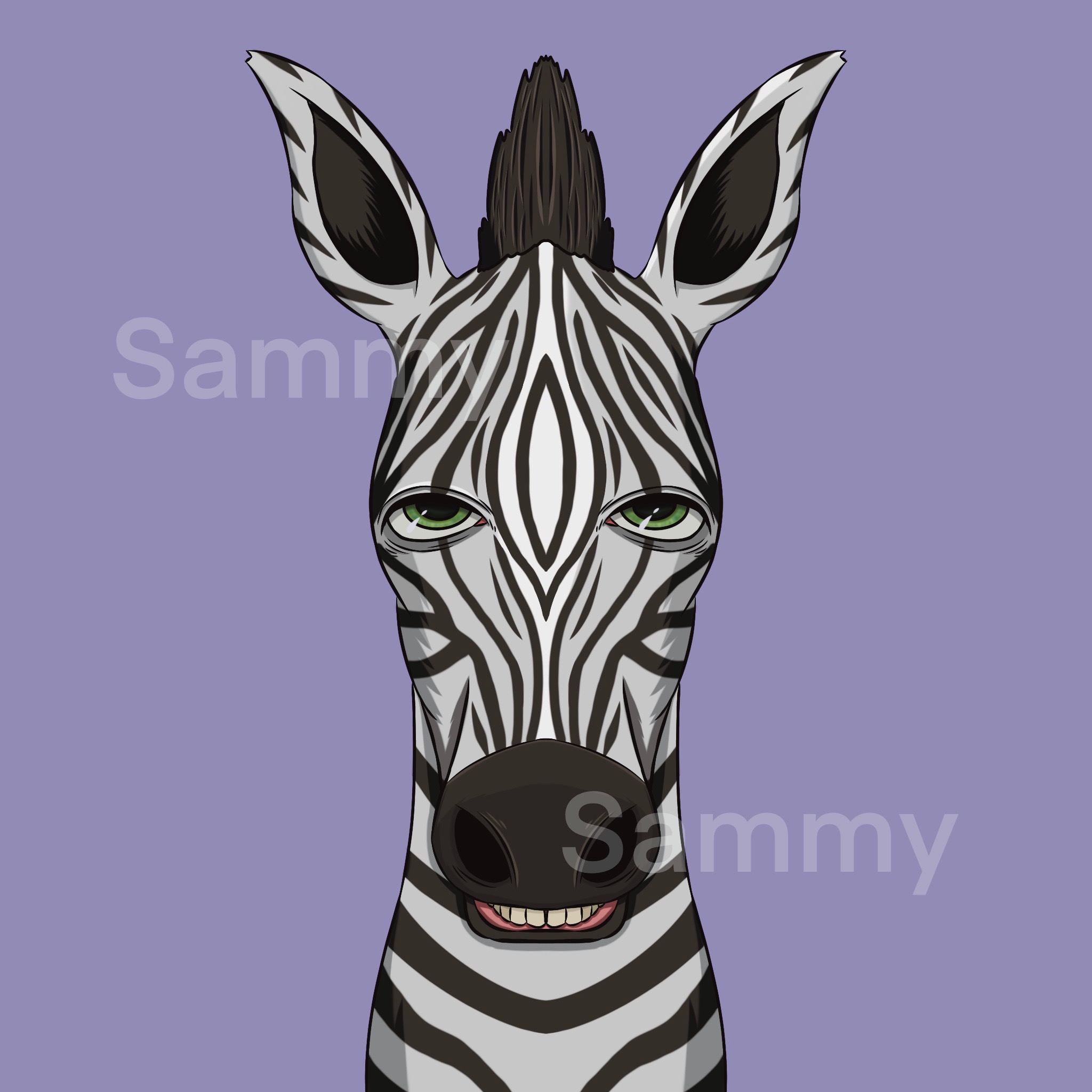 MUKIDASAZOO | Zebra #4/11